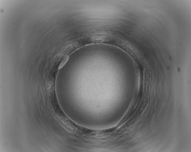 X0000063510601200601231504