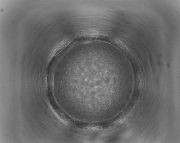 X0000063510638200601231503