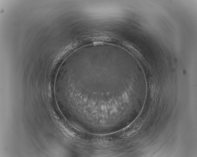X0000063510729200601231501