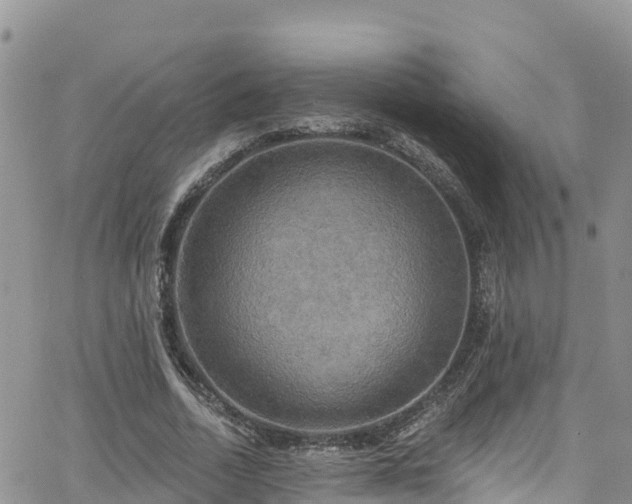 X0000063510730200601231502