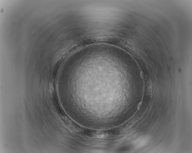 X0000063510746200601231502