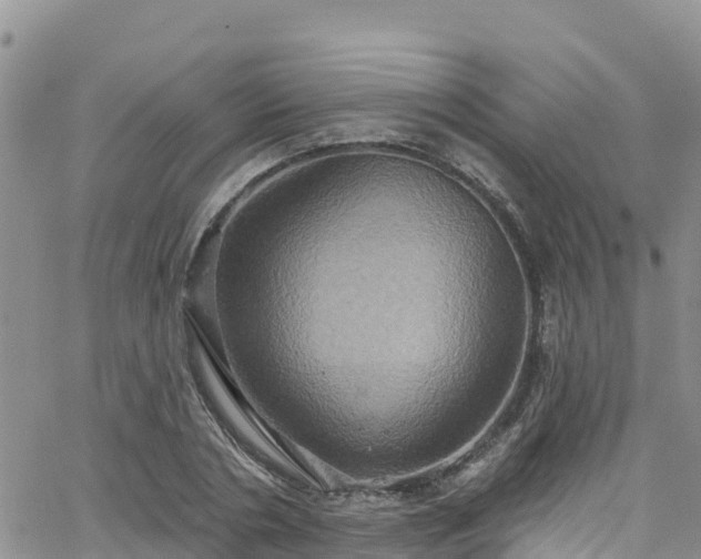 X0000063510786200601231501