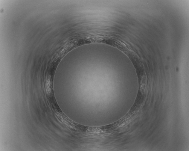 X0000063510866200601231500