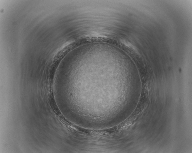 X0000063510870200601231500