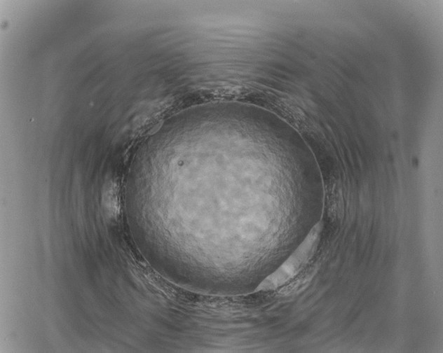 X0000063510962200601231458