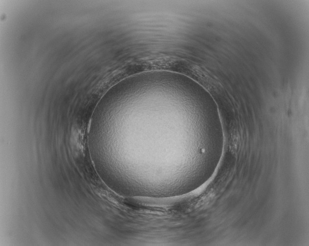 X0000063511010200601231457
