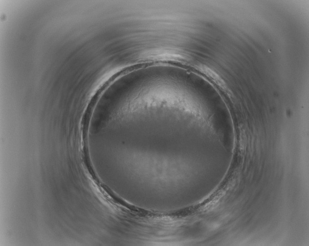 X0000063511031200601231457