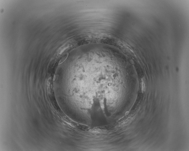 X0000063511059200601231457