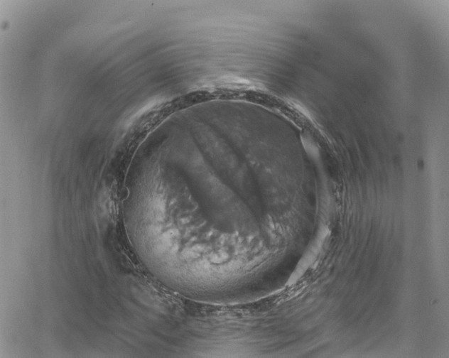 X0000063511063200601231456