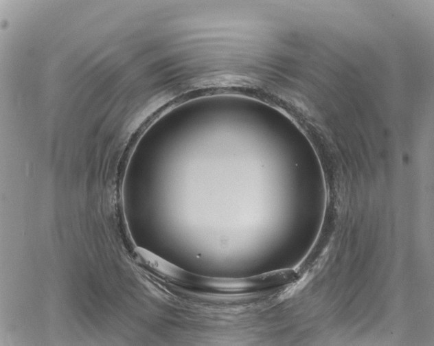 X0000063511073200601231456