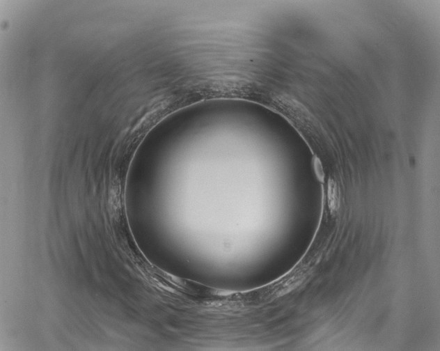X0000063511107200601231455