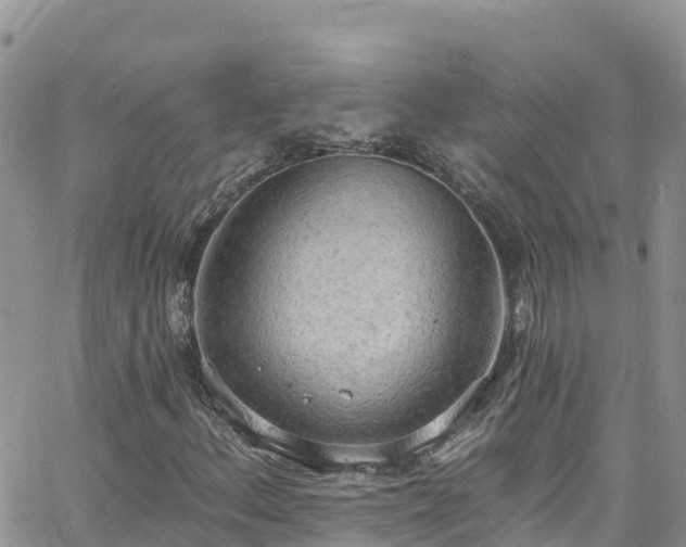 X0000063511156200601231455