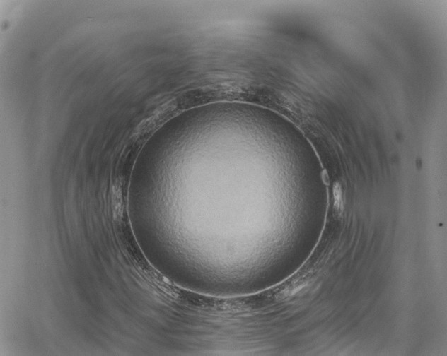 X0000063511203200601231453