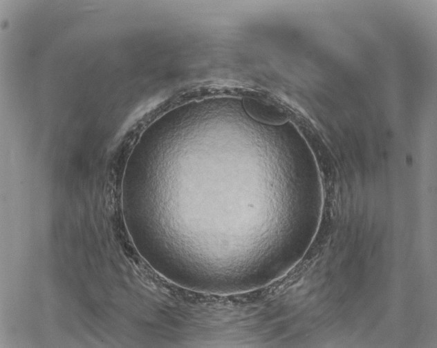 X0000063511207200601231454