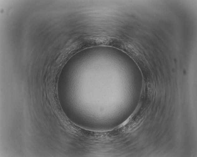 X0000063511249200601231453