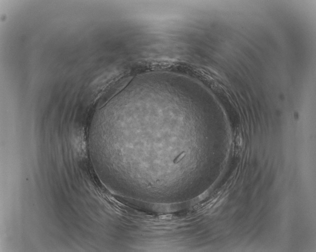 X0000063511252200601231453