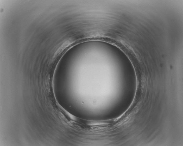X0000063511265200601231453