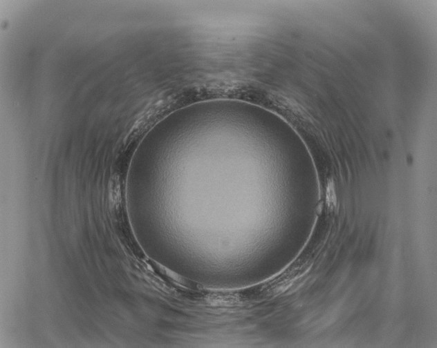 X0000063511299200601231452