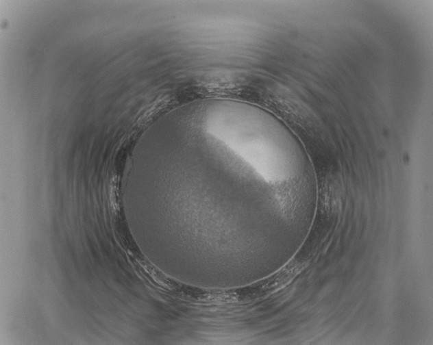 X0000063511346200601231452