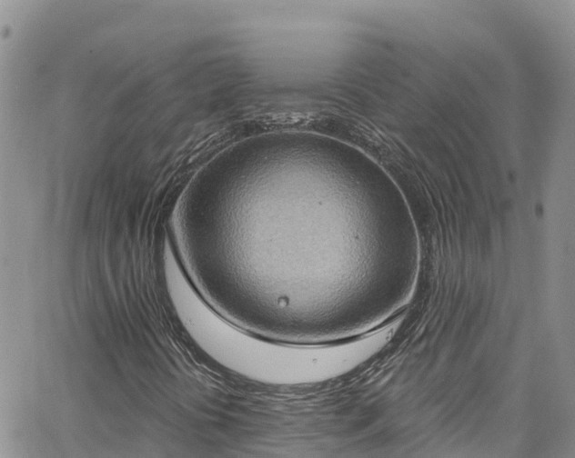 X0000063511394200601231450