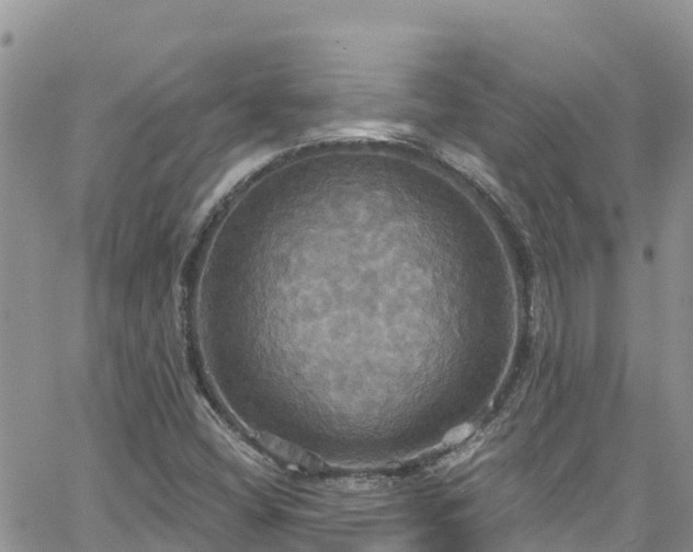 X0000063511404200601231451