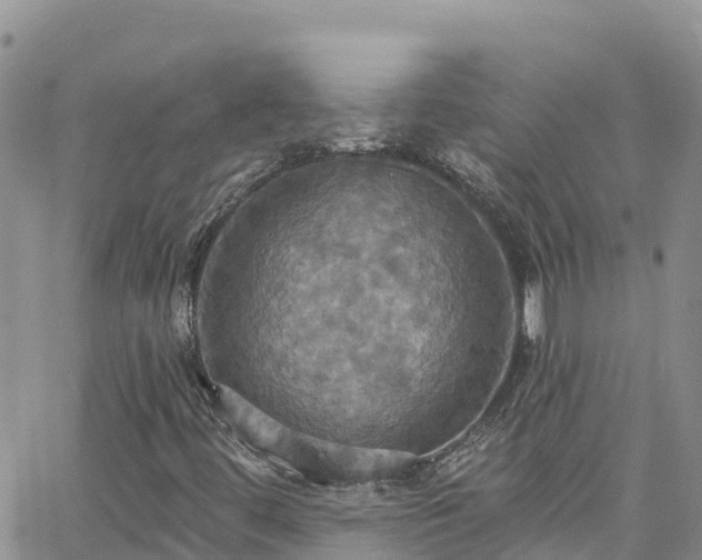 X0000063511444200601231450