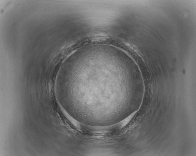 X0000063511445200601231450