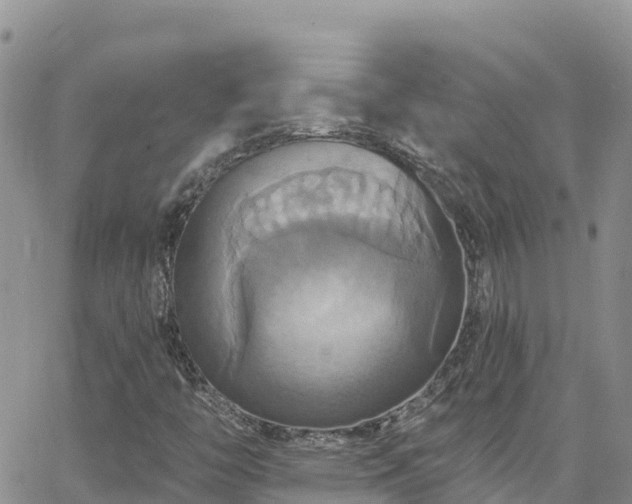 X0000063511446200601231450