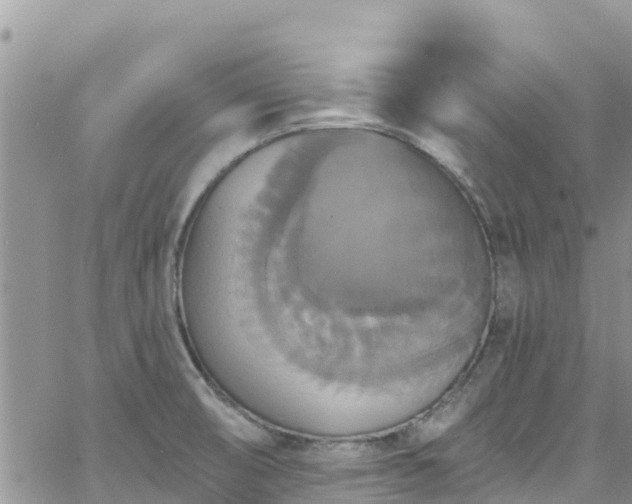 X0000063511474200601231450