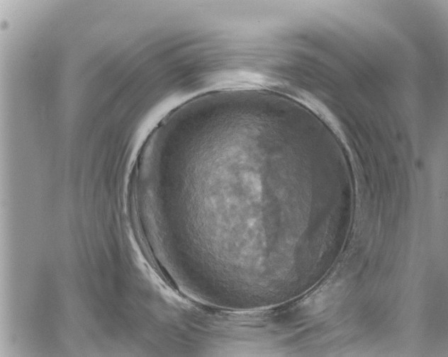 X0000063511488200601231450