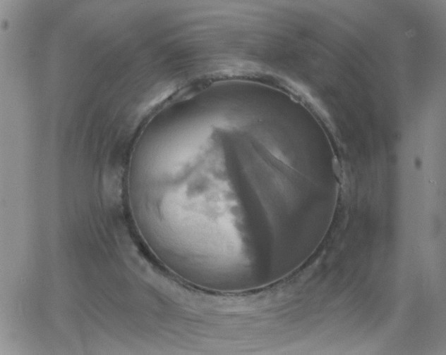 X0000063510010200601271822