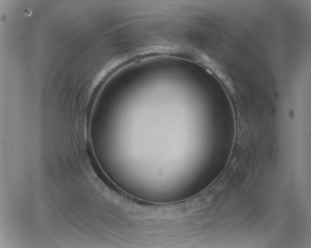 X0000063510011200601271822