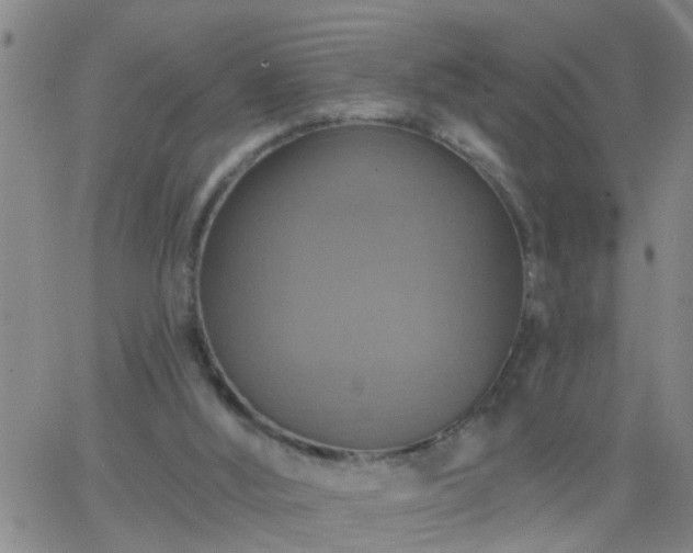 X0000063510012200601271822