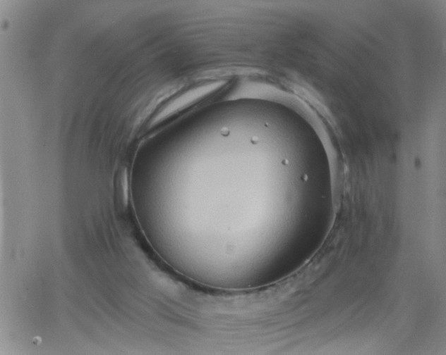 X0000063510013200601271822