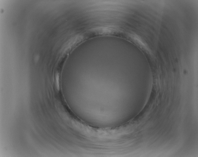 X0000063510022200601271822