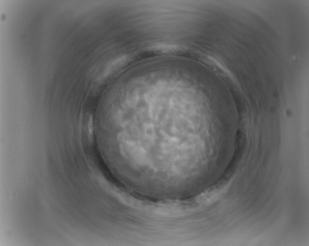 X0000063510024200601271822