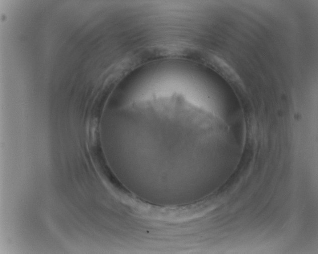 X0000063510026200601271822