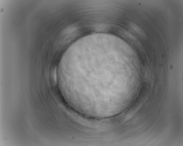 X0000063510028200601271822