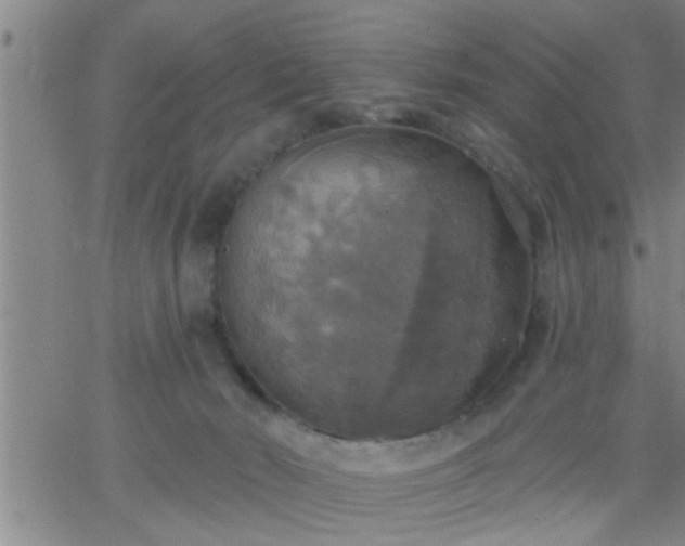 X0000063510030200601271822