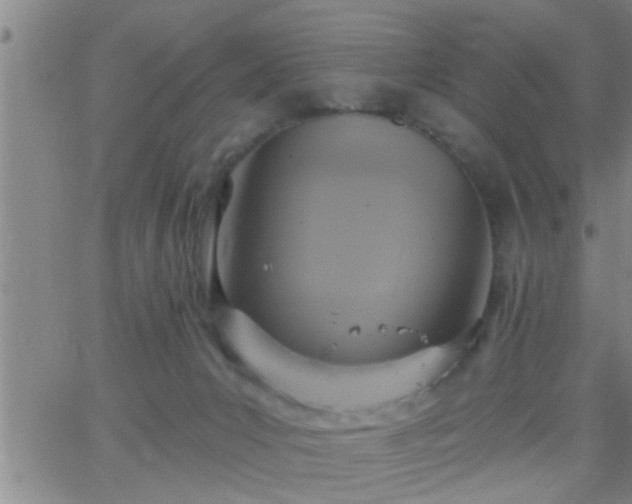 X0000063510031200601271822