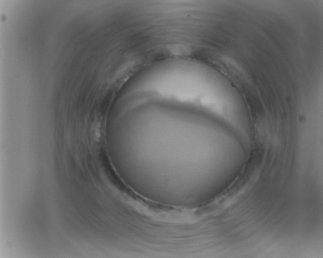 X0000063510032200601271822