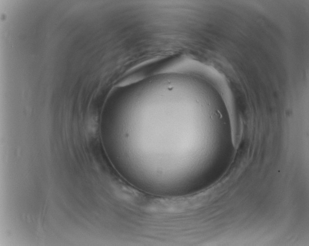 X0000063510033200601271822