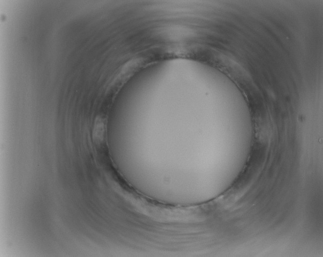 X0000063510036200601271822