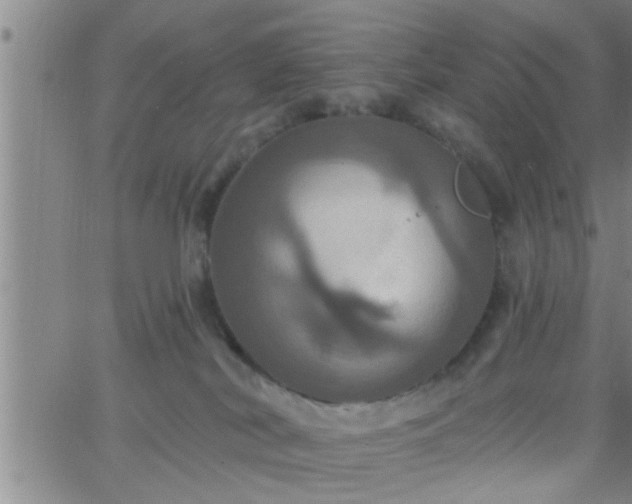 X0000063510038200601271822