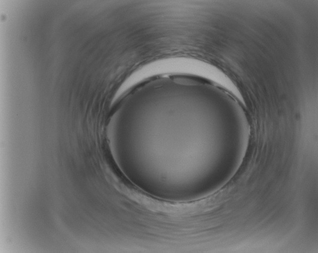 X0000063510039200601271822