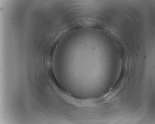 X0000063510040200601271822