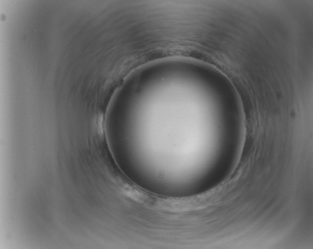 X0000063510041200601271822