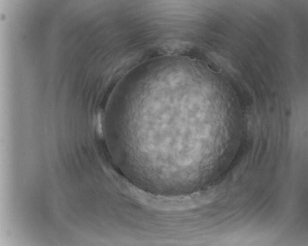 X0000063510042200601271822