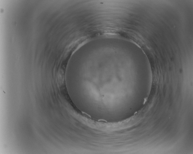 X0000063510043200601271822