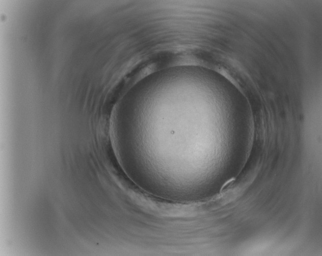 X0000063510044200601271822